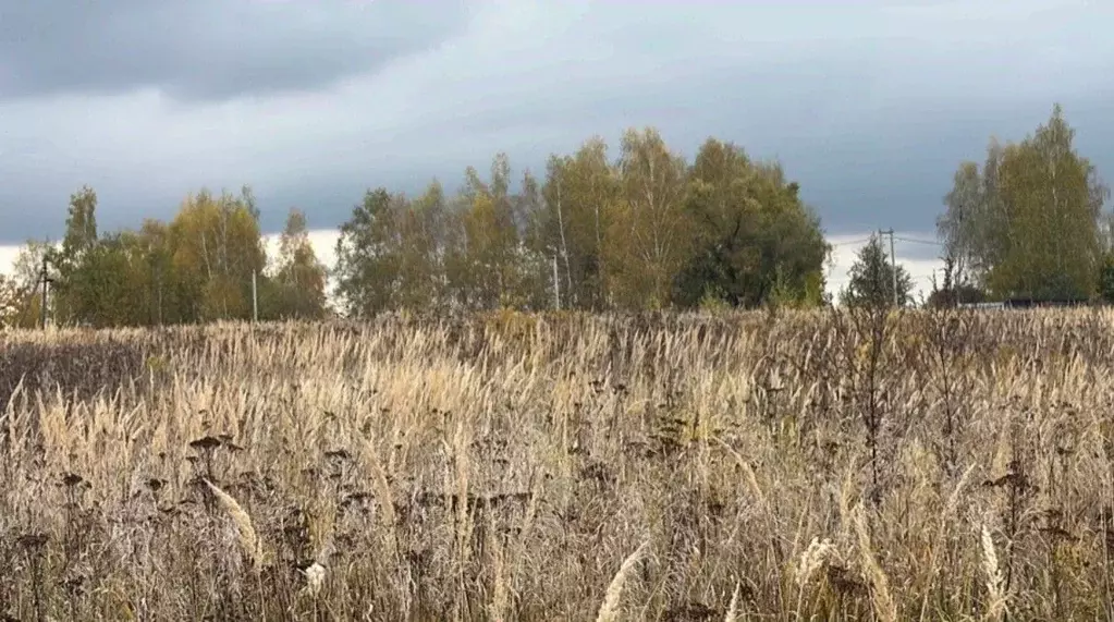 Участок в Московская область, Кашира городской округ, д. Колтово  ... - Фото 1