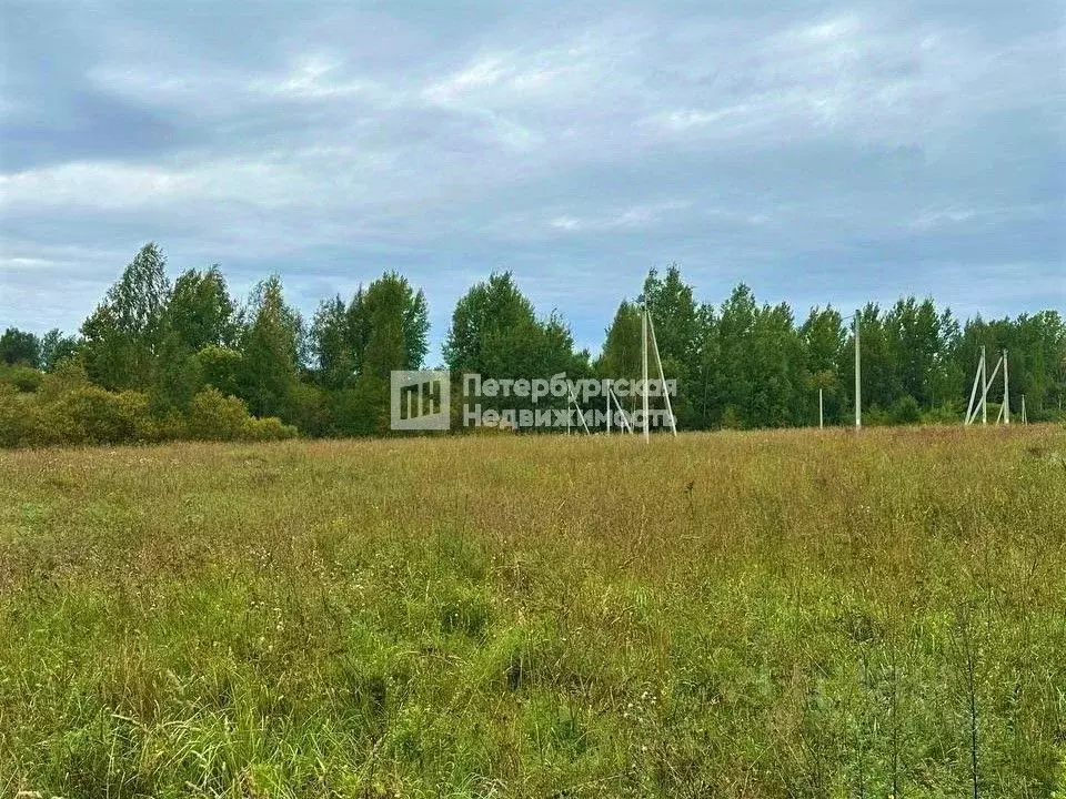 Участок в Ленинградская область, Кировский район, Мгинское городское ... - Фото 1