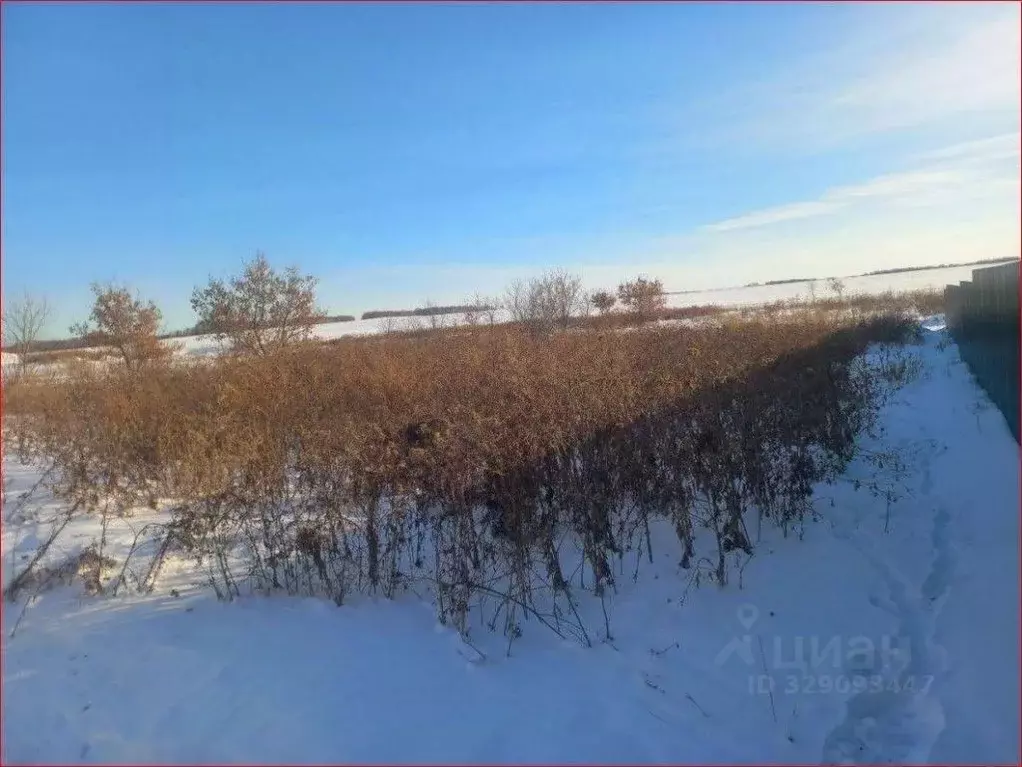 Участок в Челябинская область, Аргаяшский муниципальный округ, пос. ... - Фото 1