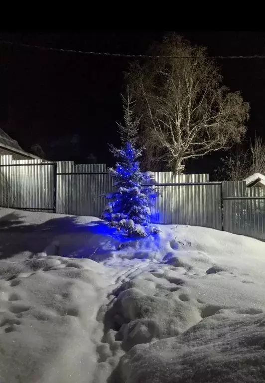 Дом в Вологодская область, Великий Устюг ул. Шильниковского, 83 (150 ... - Фото 1