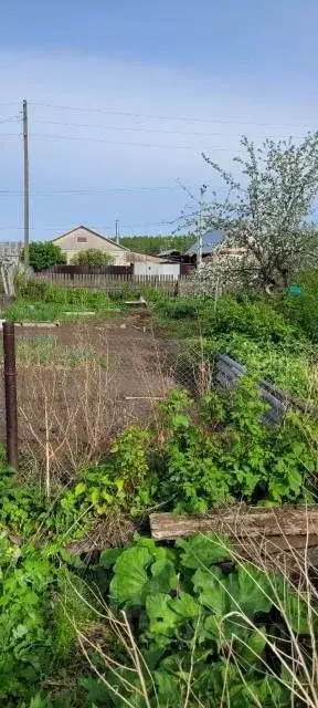 Участок в Челябинская область, Сосновский муниципальный округ, с. ... - Фото 0