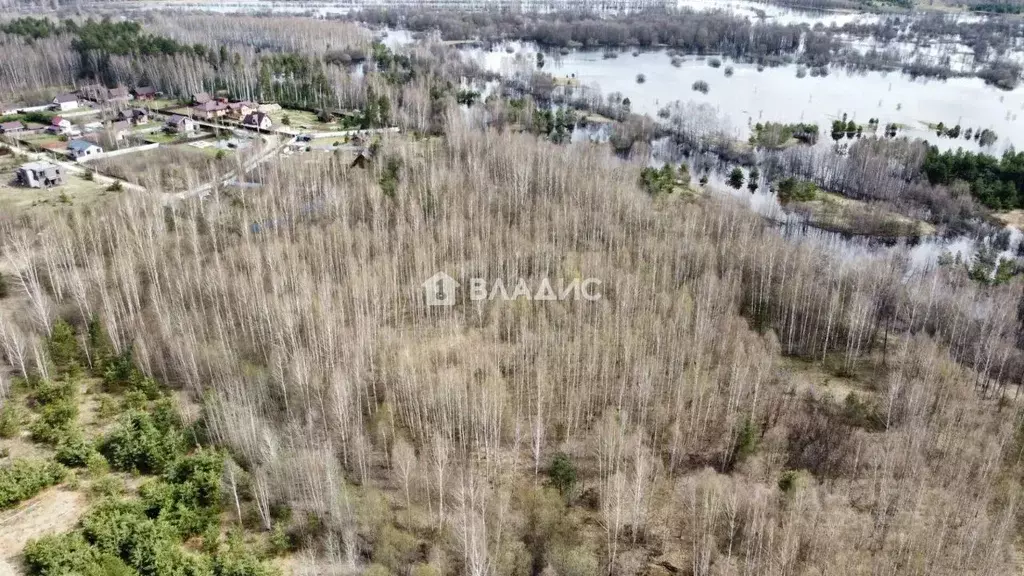 Участок в Владимирская область, Судогодский муниципальный округ, д. ... - Фото 1
