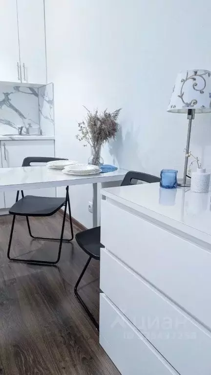 Студия Санкт-Петербург ул. Верхне-Каменская, 5 (24.6 м) - Фото 2