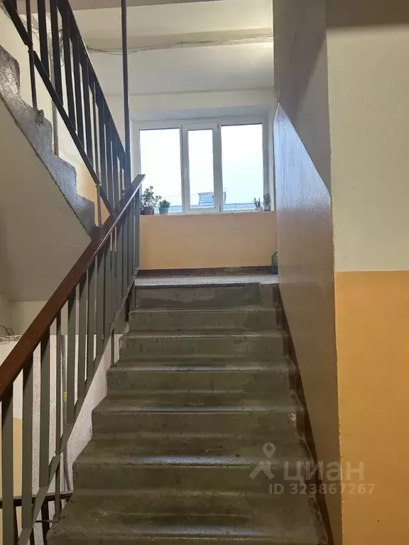 1-к кв. Пензенская область, Пенза ул. Кижеватова, 26 (40.1 м) - Фото 1