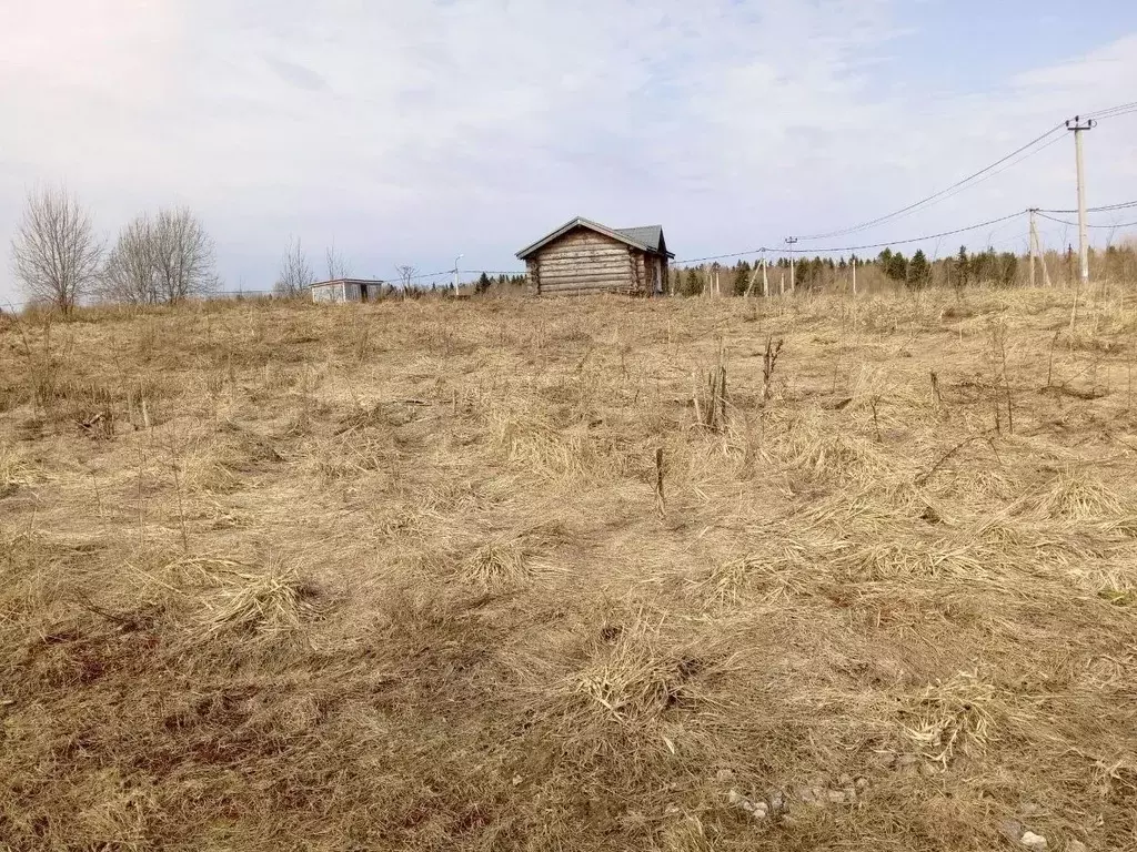 Участок в Ленинградская область, Ломоносовский район, Гостилицкое ... - Фото 0