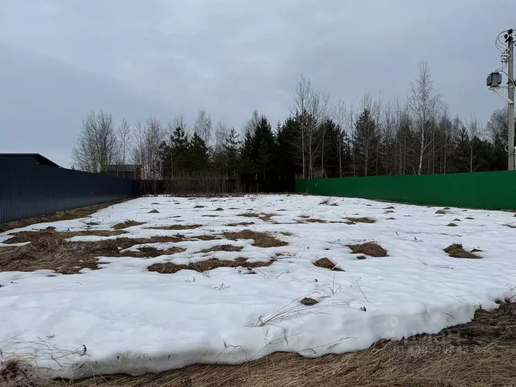 Участок в Московская область, Богородский городской округ, д. Ново  ... - Фото 1