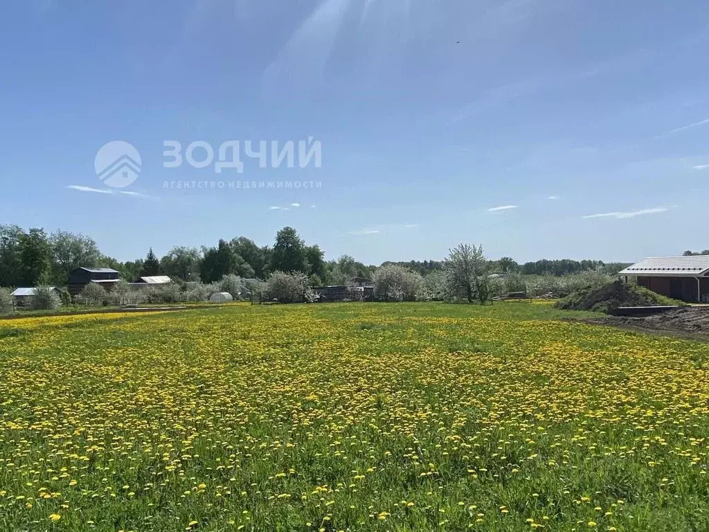 Участок в Чувашия, Чебоксарский муниципальный округ, д. Тренькасы ул. ... - Фото 1