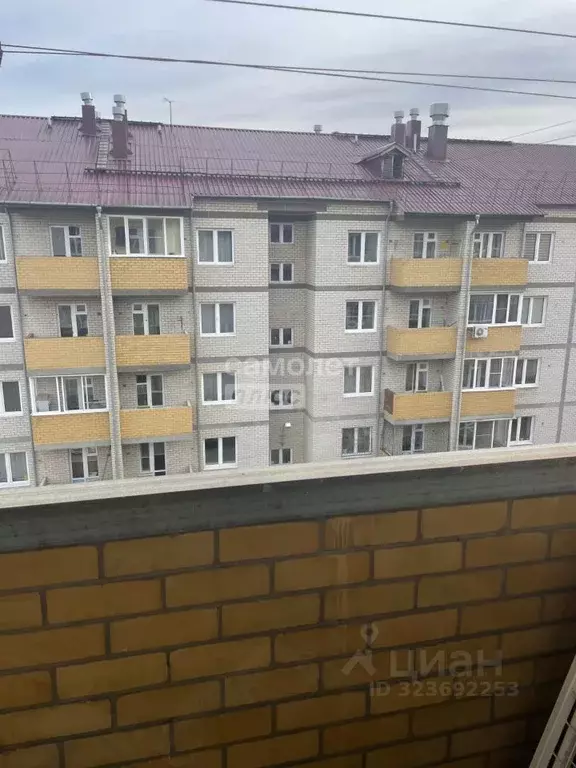 1-к кв. Забайкальский край, Чита ул. Казачья, 26 (32.0 м) - Фото 2