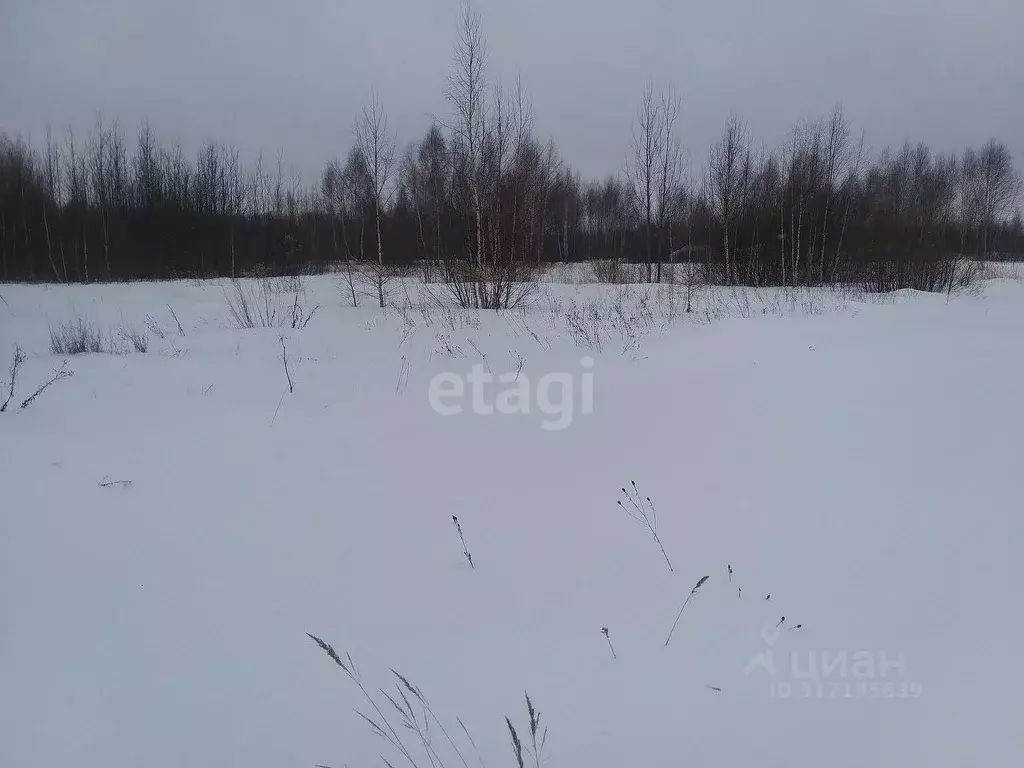 Участок в Нижегородская область, Выкса городской округ, д. Грязная  ... - Фото 0