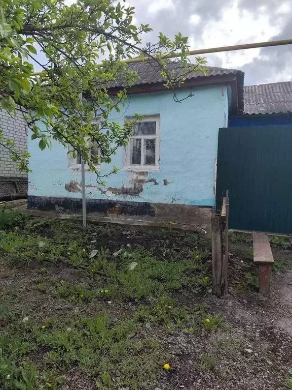 Дом в Белгородская область, Корочанский район, Бехтеевское с/пос, с. ... - Фото 1