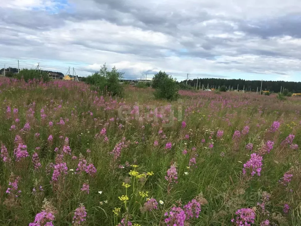 Участок в Свердловская область, Нижний Тагил  (7.0 сот.) - Фото 2