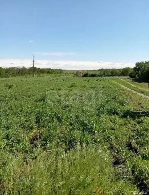 Участок в Ростовская область, Родионово-Несветайский район, ... - Фото 1