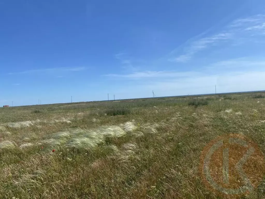 Участок в Крым, Сакский район, с. Молочное  (100.0 сот.) - Фото 1