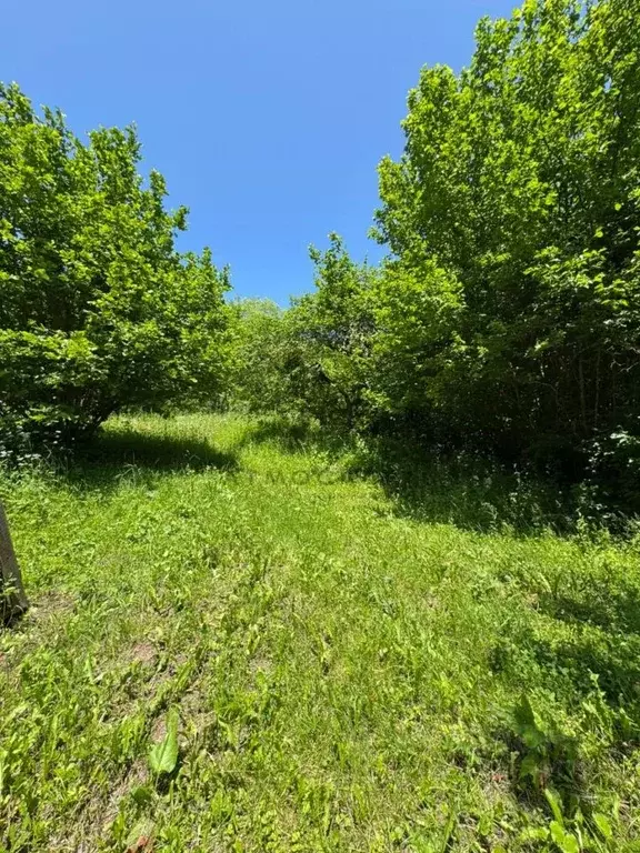 Участок в Краснодарский край, Апшеронский район, пос. Мезмай Высокая ... - Фото 1