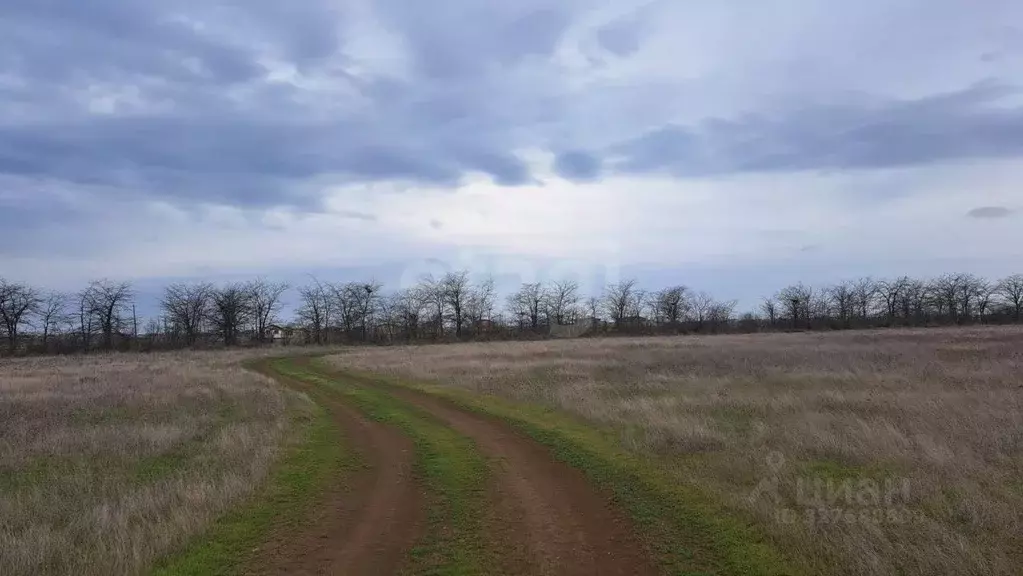 Участок в Крым, Сакский район, Молочненское с/пос, с. Витино  (6.0 ... - Фото 1
