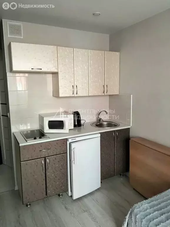 Квартира-студия: село Засечное, Радужная улица, 15 (23 м) - Фото 2