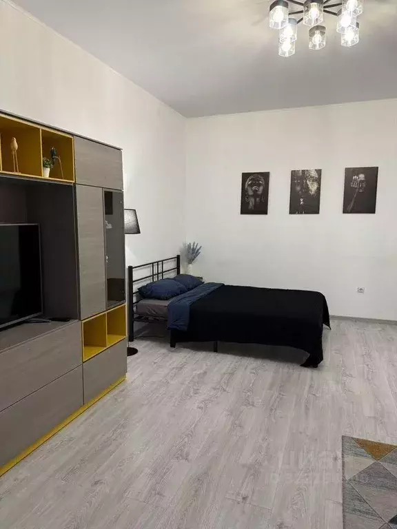 1-к кв. Челябинская область, Миасс ул. Ильмен-Тау, 33А (48.0 м) - Фото 2