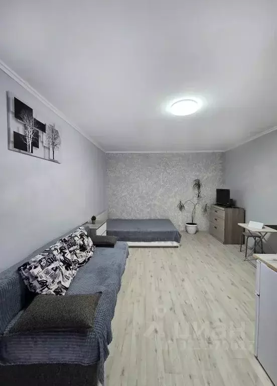 Студия Краснодарский край, Ейск Красная ул., 15 (25.0 м) - Фото 1