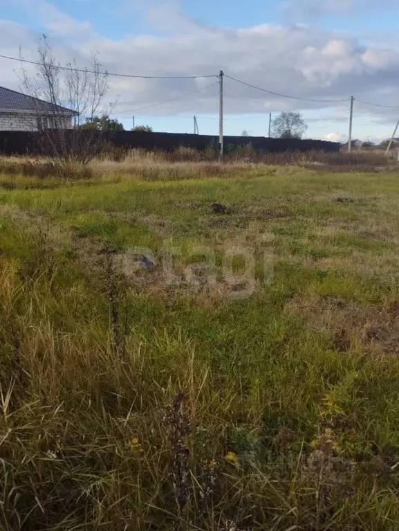 Участок в Воронежская область, Новоусманский район, с. Орлово ул. ... - Фото 2