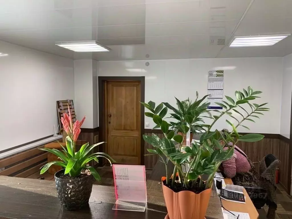 Помещение свободного назначения в Кемеровская область, Прокопьевск ... - Фото 2