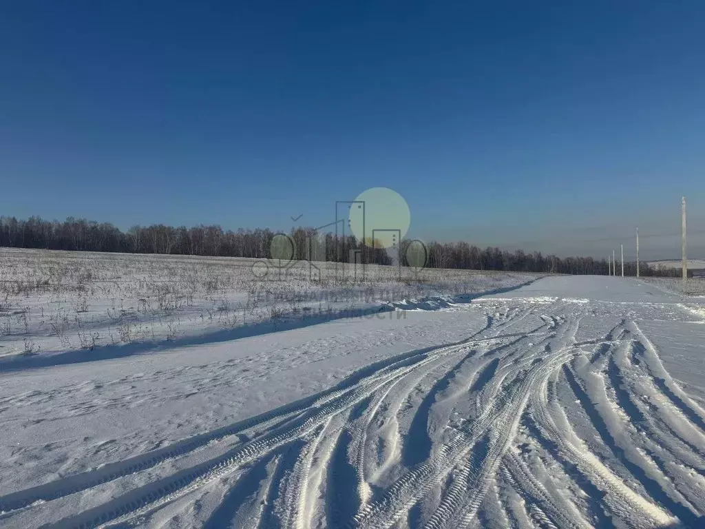 Участок в Иркутская область, Иркутский муниципальный округ, д. ... - Фото 1