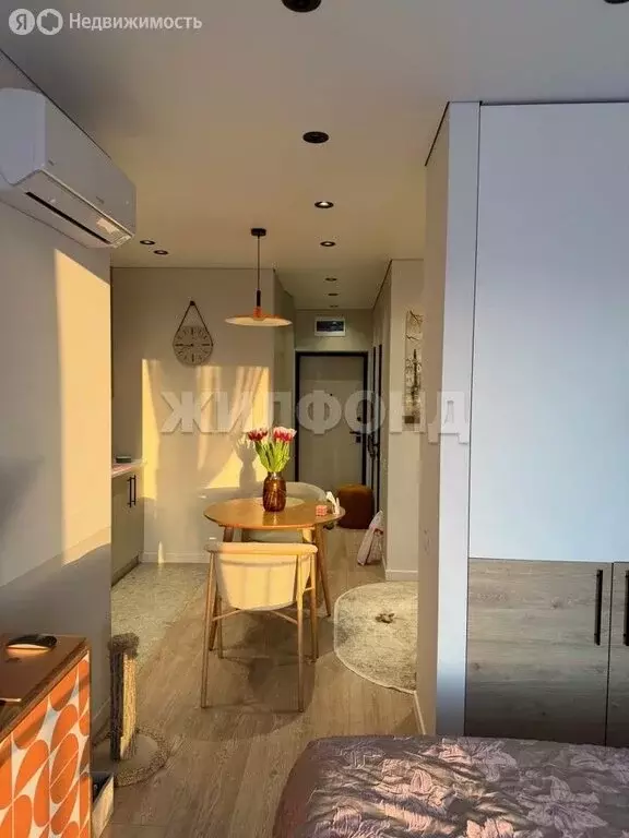 Квартира-студия: Новосибирск, улица Владимира Заровного, 10 (28.2 м) - Фото 1