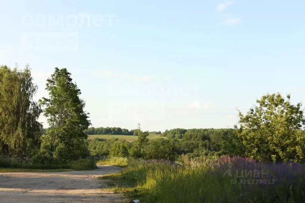 Участок в Вологодская область, д. Филютино  (20.0 сот.) - Фото 2