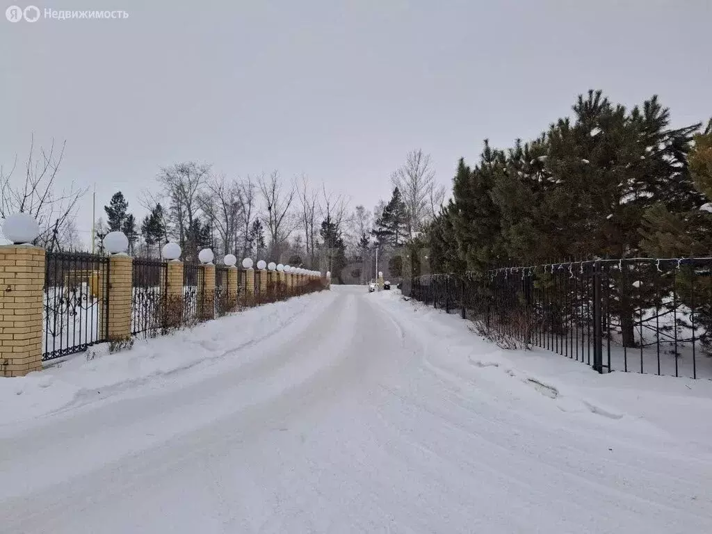 Участок в муниципальный округ Омский район, село Новотроицкое (10 м) - Фото 2