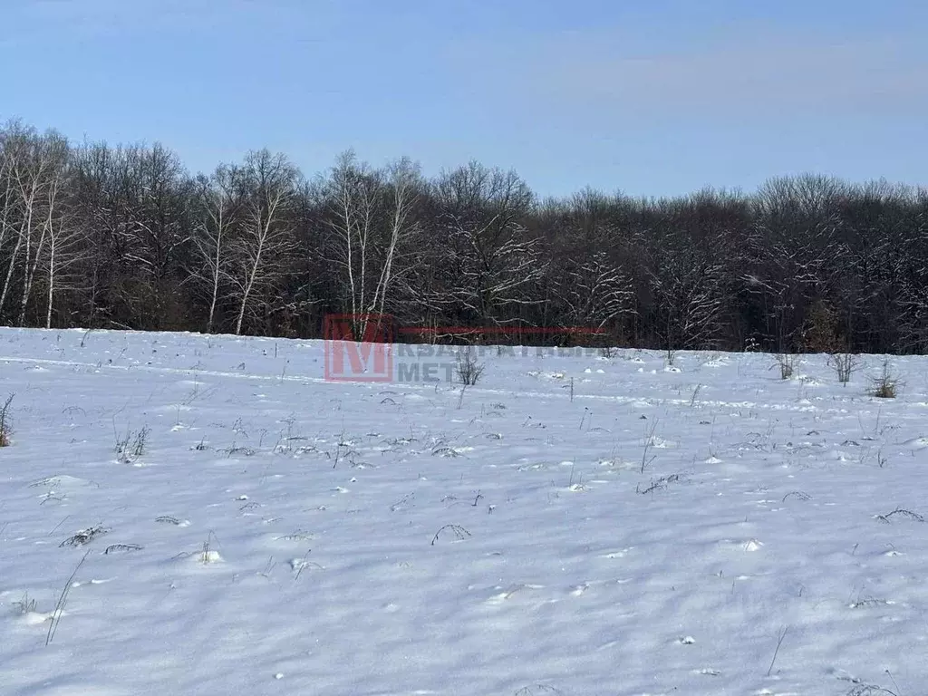 Участок в Белгородская область, Старооскольский городской округ, с. ... - Фото 2