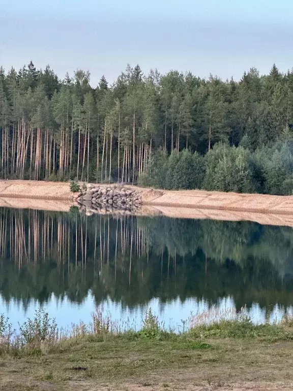 Участок, 8 сот., сельхоз (снт или днп) - Фото 2