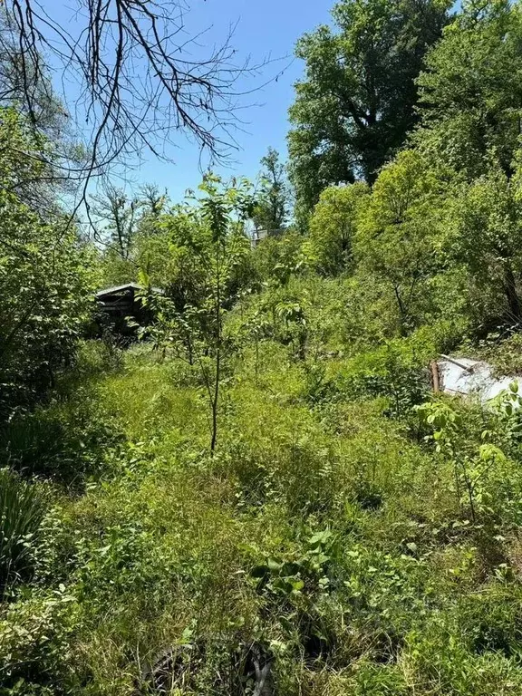 Участок в Краснодарский край, Сочи городской округ, с. Бестужевское, ... - Фото 0
