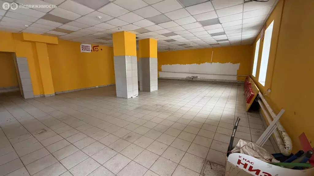 Помещение свободного назначения (250 м) - Фото 2