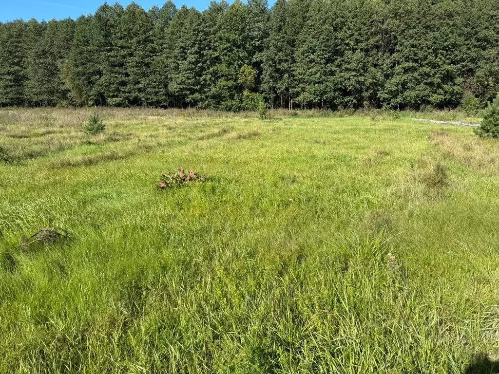 Участок в Московская область, Богородский городской округ, д. Исаково  ... - Фото 0