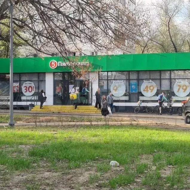 Готовый арендный бизнес, Пятерочка, 382.1 м - Фото 0