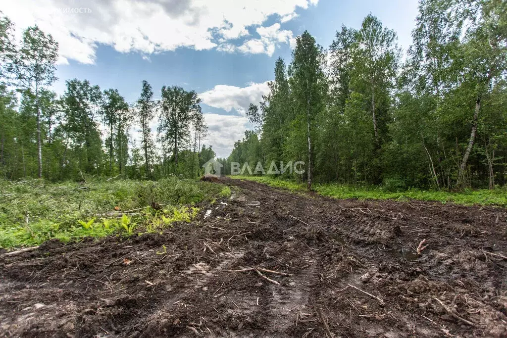 Участок в Тобольск, микрорайон Усадьба (10 м) - Фото 1
