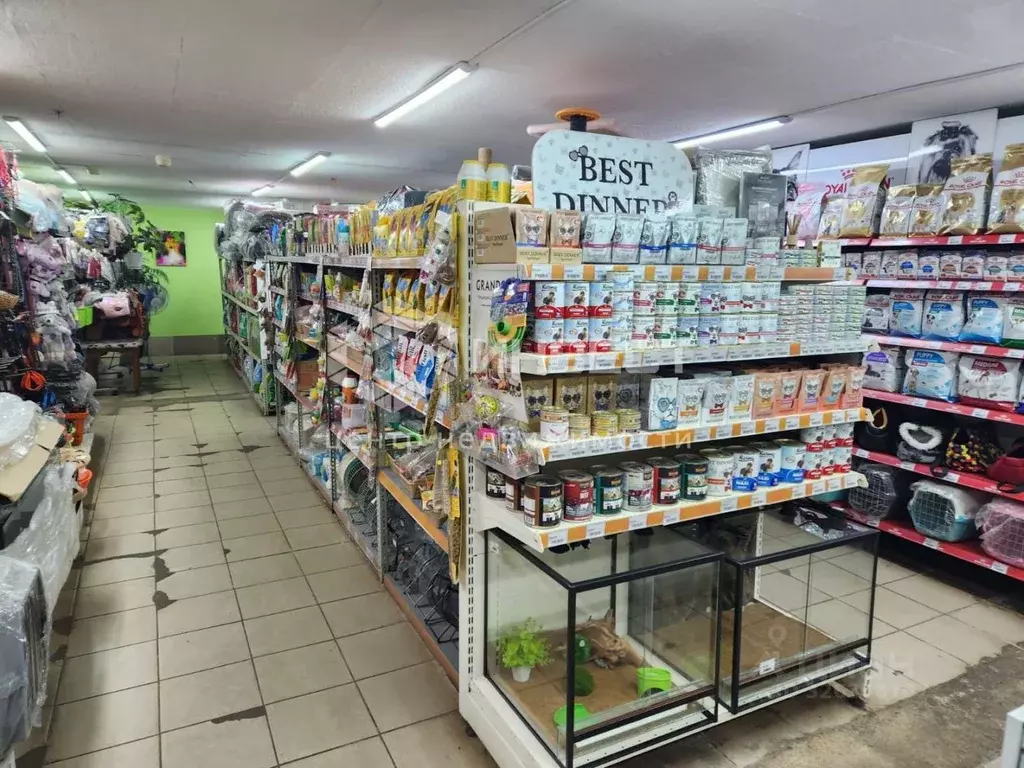 Торговая площадь в Мурманская область, Мурманск ул. Академика ... - Фото 1