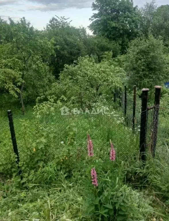 Участок в Санкт-Петербург, Санкт-Петербург, Красное Село Дружба СНТ, ... - Фото 1