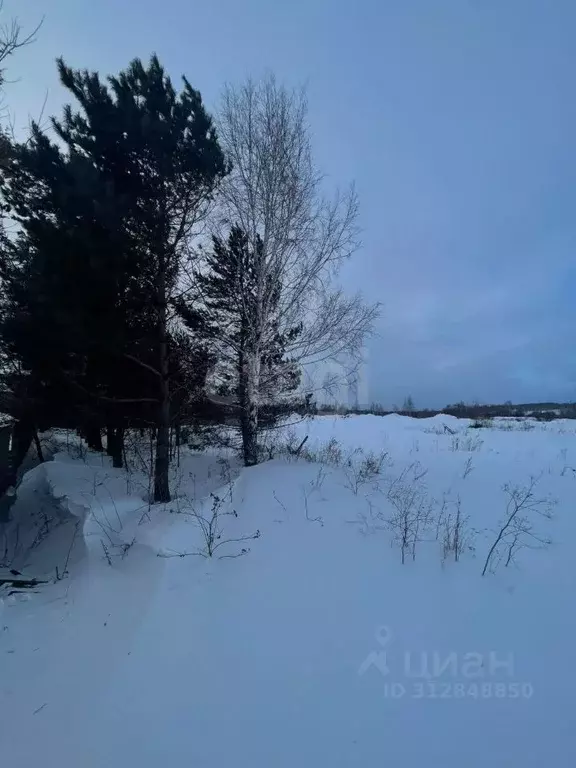 Участок в Кемеровская область, Прокопьевск Рождественская ул., 2А ... - Фото 1