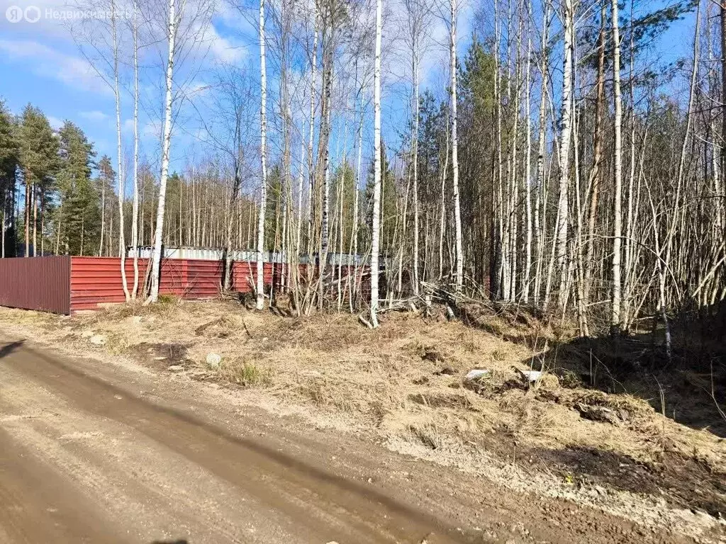Участок в Ленинградская область, Всеволожское городское поселение, ... - Фото 2