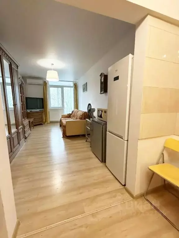 Студия Краснодарский край, Сочи ул. Ленина, 298б (29.3 м) - Фото 2