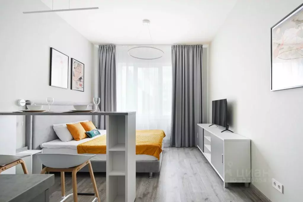 Студия Санкт-Петербург Витебский просп., 99к1 (25.0 м) - Фото 2