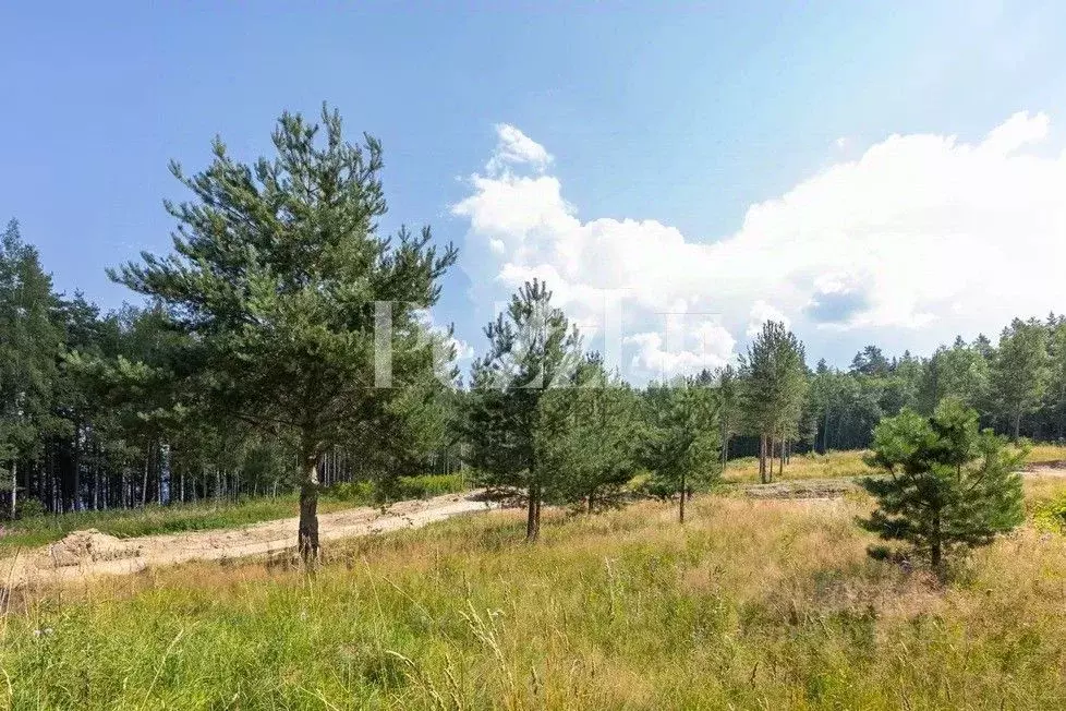 Участок в Ленинградская область, Приозерский район, Громовское с/пос, ... - Фото 1