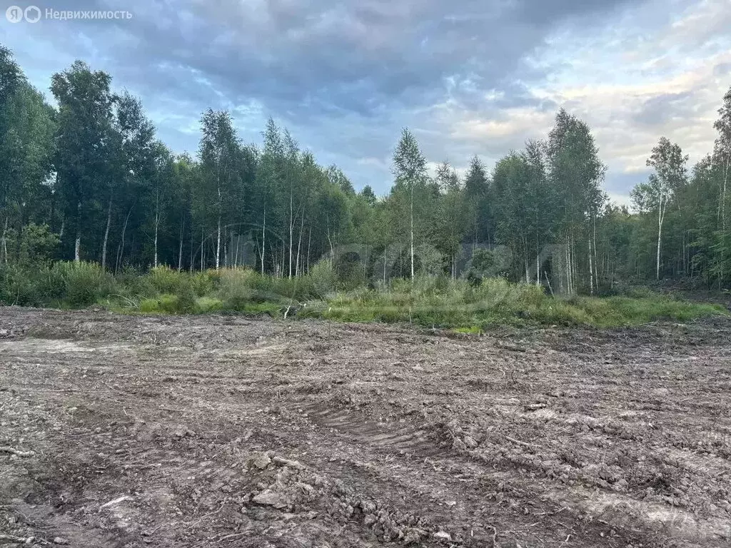 Участок в Тобольск, Красная площадь (8.6 м) - Фото 2