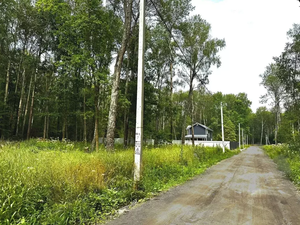 Участок в Московская область, Домодедово городской округ, с. Добрыниха ... - Фото 1