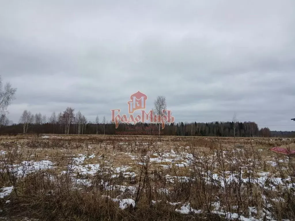 Участок в Московская область, Талдомский городской округ, д. Зятьково  ... - Фото 1