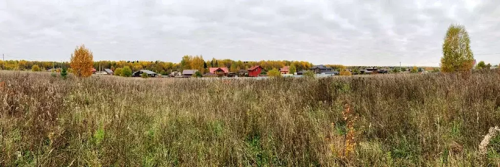 Участок в Владимирская область, Александровский район, Новый Мир кп  ... - Фото 1