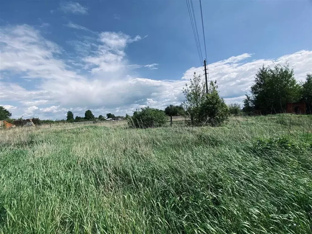 Участок в Рязанская область, Спасский муниципальный округ, с. Иванково ... - Фото 2