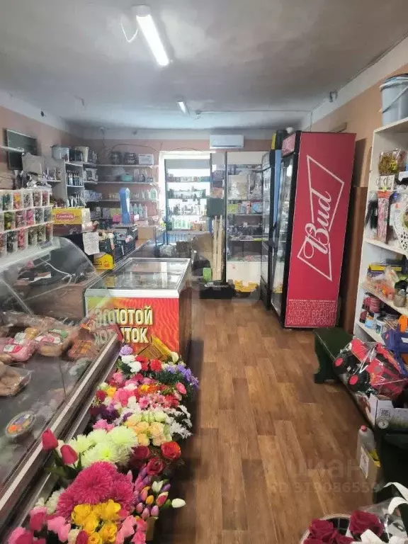 Помещение свободного назначения в Ярославская область, Тутаевский ... - Фото 1