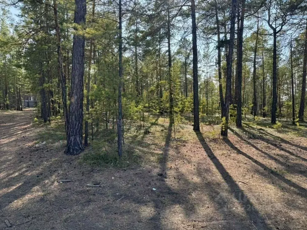 Участок в Саха (Якутия), Мегино-Кангаласский улус, Нижний Бестях пгт, ... - Фото 2