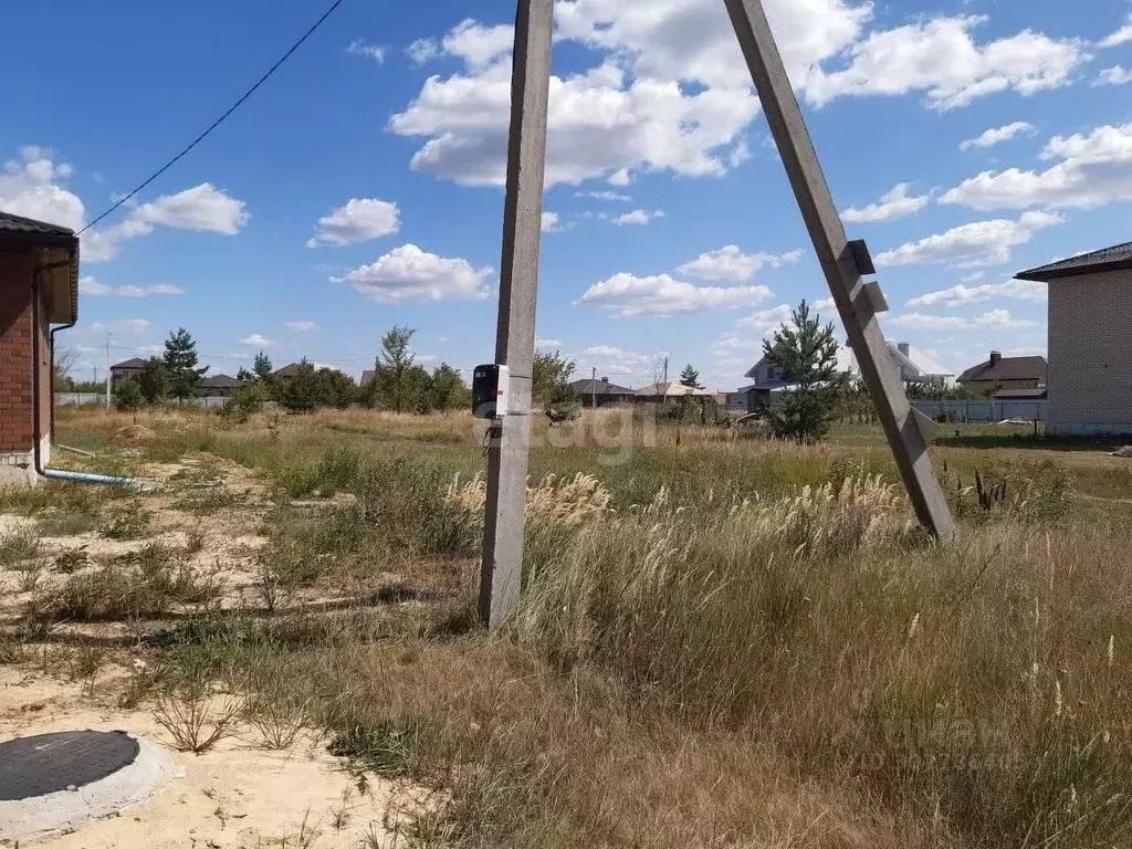 Участок в Воронежская область, Новоусманский район, с. Бабяково ... - Фото 1